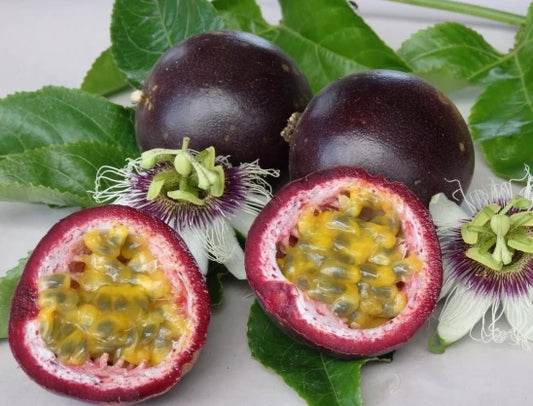 Passion Fruit Climbing Plant ( Pack of 500 Seeds)