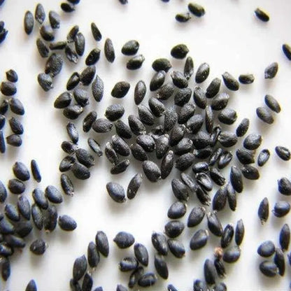 Dragon Fruit Seeds (Pack of 500 Seeds) 🌵🐉