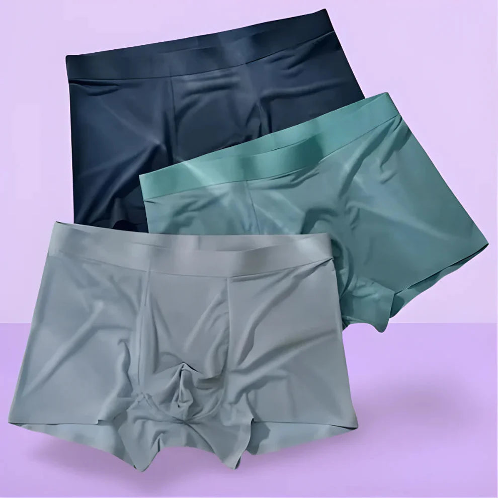 Anti-Sweat Ice Silk Boxer Briefs Combo ( PACK OF 6 )
