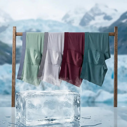 Anti-Sweat Ice Silk Boxer Briefs Combo ( PACK OF 6 )